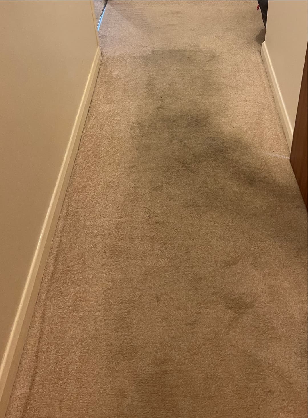 Before Cleaning