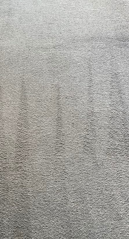 Carpet Cleaning Image